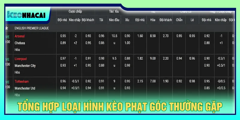 Người chơi cần chọn dạng cược phù hợp để vào kèo dễ dàng